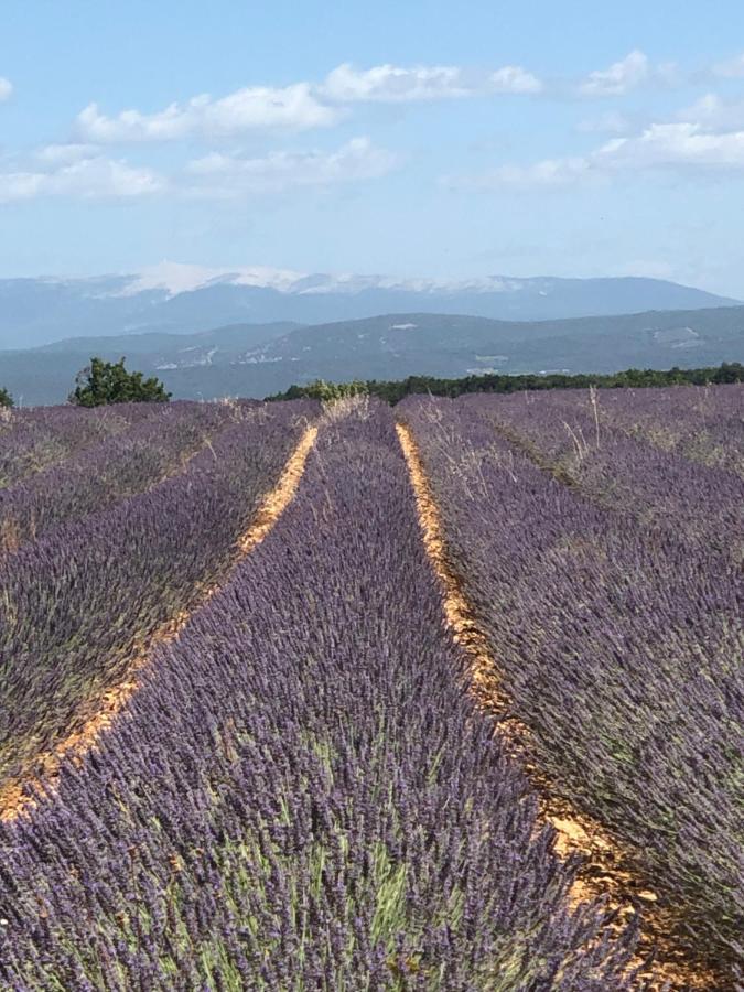 Provence Luberon Bonnieux Location Gite Chez Basile Exterior foto